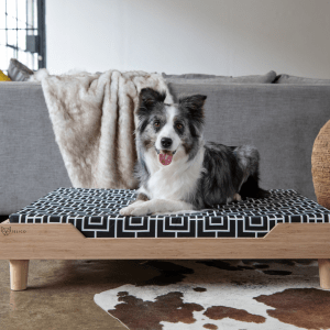 Charlie Bamboo Dog Bed | Jelico