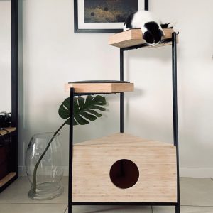 Apollo Cat Tower | Jelico