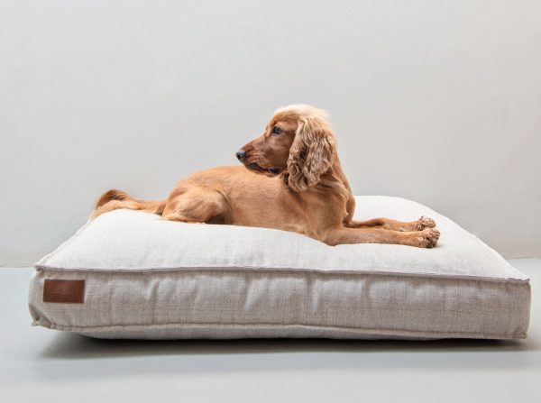 Lulu Dog Cushion | Jelico